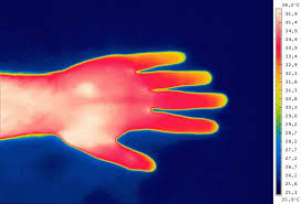 What Do The Colors Mean In Thermal Imaging Definate Tech